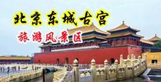 淫欲黑丝袜老师中国北京-东城古宫旅游风景区